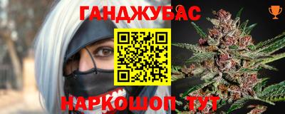 шишки Гай