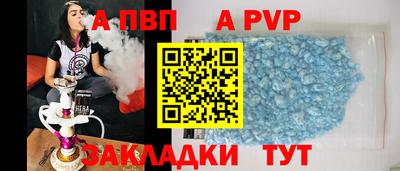 шишки Гай