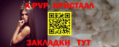 шишки Гай