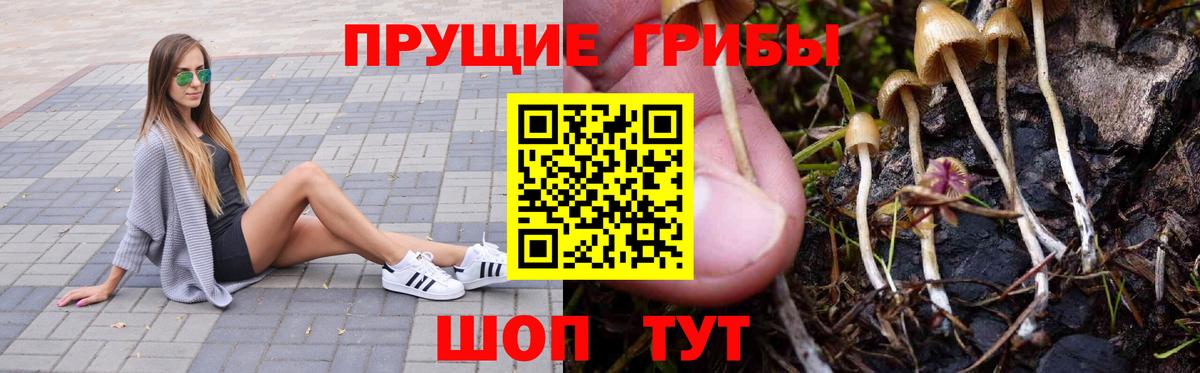 Галлюциногенные грибы мухоморы Белебей